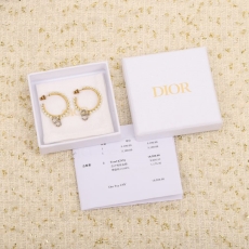 Christian Dior Earrings